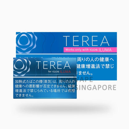 Terea-Heatsticks-BuyVapeSingapore-Rich-Regular