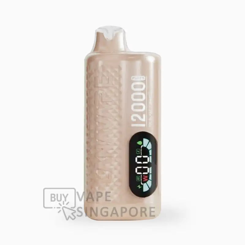 lana-Fizz-12000-Puffs-disposable-flavour-Iced-Blast-Tobacco-BuyVapeSingapore